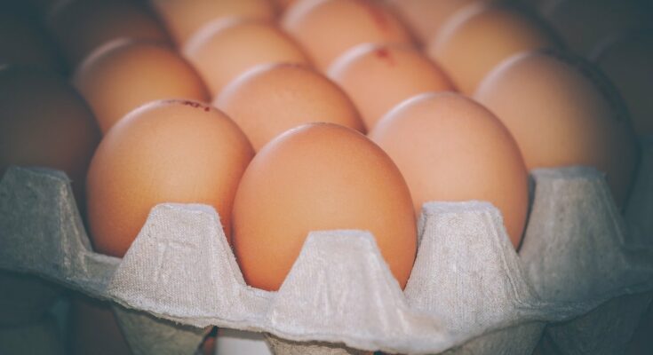 Eier in einem Eierkarton