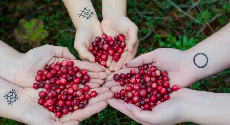 Cranberries