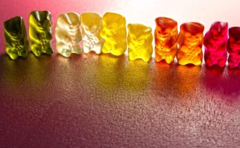 Gelatine ersetzen