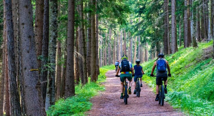 Wie plane ich eine Fahrradtour