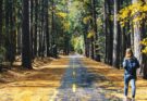 Im Herbst noch wandern