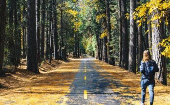 Im Herbst noch wandern