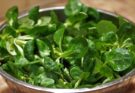 Feldsalat gesund