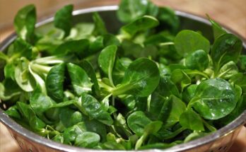 Feldsalat gesund