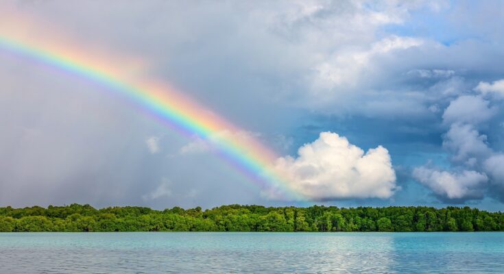Wie entsteht eigentlich ein Regenbogen?
