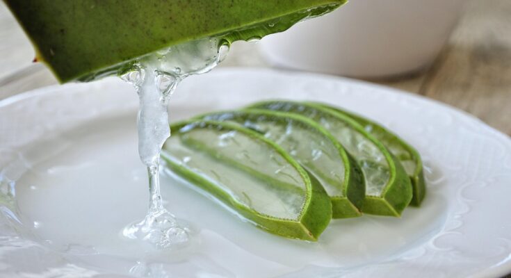 Ein in Streigen geschnittenes Aloe Vera Blatt, aus dem das Gel heraustropft.