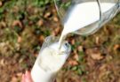 Rechts eine Glaskaraffe, aus der Milch in ein Glas auf der linken Seite geschüttet wird.