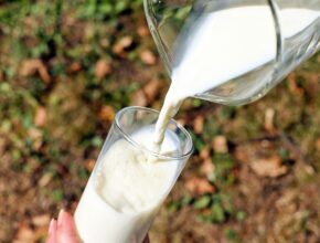 Rechts eine Glaskaraffe, aus der Milch in ein Glas auf der linken Seite geschüttet wird.