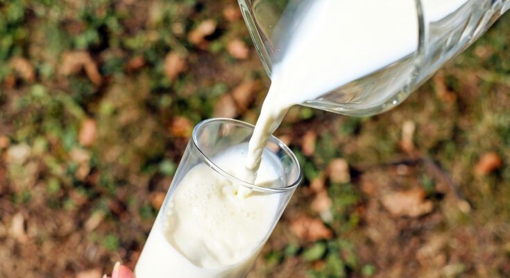 Rechts eine Glaskaraffe, aus der Milch in ein Glas auf der linken Seite geschüttet wird.