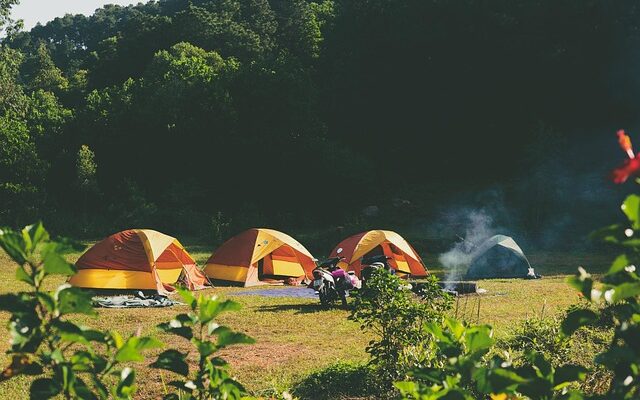 Drei gelbe Campingzelte auf einer grünen Wiese, dahinter ist ein waldiger Hügel.
