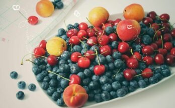 Fruchtfliegen auf einer Schale Obst mit Blaubeeren, Kirschen, Aprikosen
