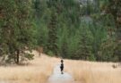 Eine Frau mit einem Rucksack, die auf einem Wanderweg durch gelbe Wiesen oder Felder wandert. Im Hintergund ein Tannenwald.
