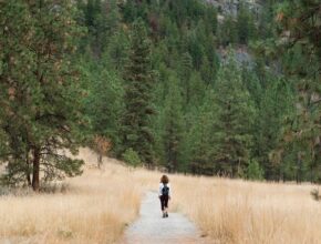 Eine Frau mit einem Rucksack, die auf einem Wanderweg durch gelbe Wiesen oder Felder wandert. Im Hintergund ein Tannenwald.