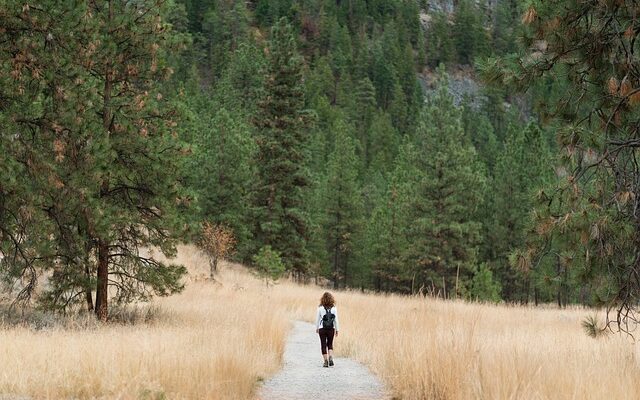 Eine Frau mit einem Rucksack, die auf einem Wanderweg durch gelbe Wiesen oder Felder wandert. Im Hintergund ein Tannenwald.