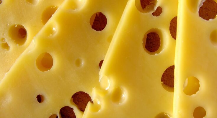 Ein paar Scheiben Käse mit Löchern