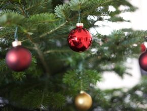 Weihnachtsbaum mit roten und goldenen Kugeln daran.