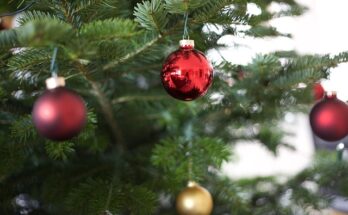 Weihnachtsbaum mit roten und goldenen Kugeln daran.