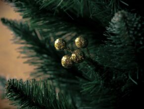 Gurke im Weihnachtsbaum