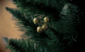 Gurke im Weihnachtsbaum