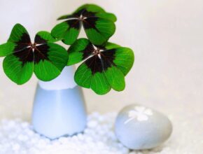 Frohes neues Jahr mit einem vierblättrigen Kleeblatt in einer kleinen weißen Vase.