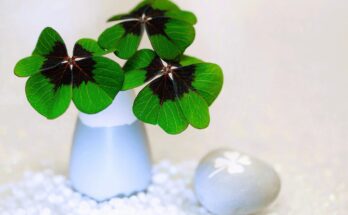 Frohes neues Jahr mit einem vierblättrigen Kleeblatt in einer kleinen weißen Vase.