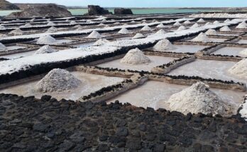 Unterschied Jodsalz Meersalz