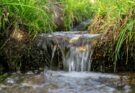 Helfen Naturgeräusche gegen Stress?