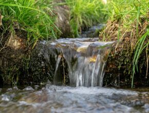 Naturgeräusche gegen Stress