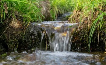 Naturgeräusche gegen Stress