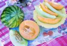 Wie erkennt man reife Melonen?