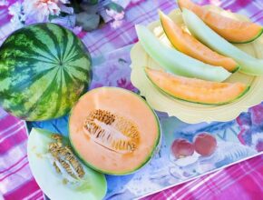 Reife Melonen